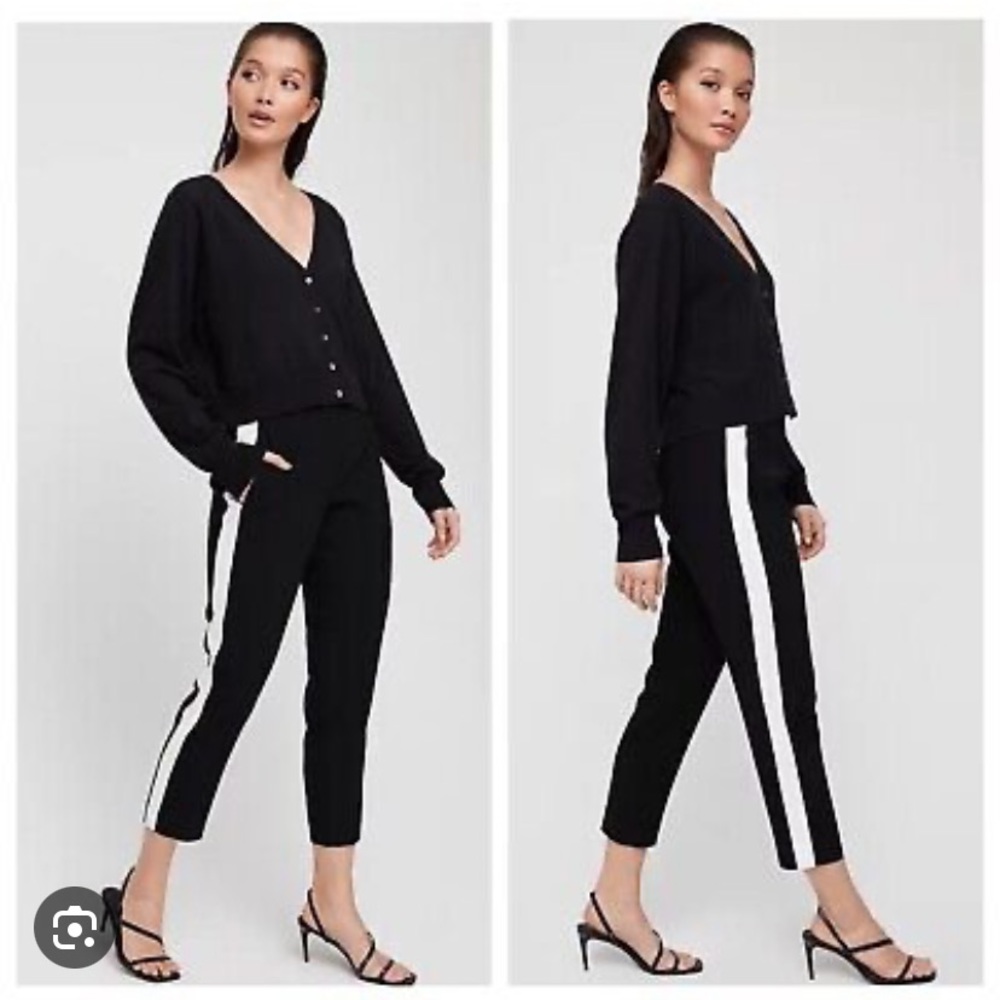 Aritzia Conan pant terado